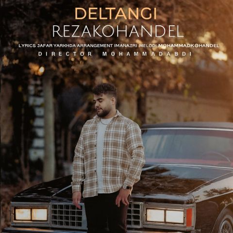 رضا کهندل - دلتنگی